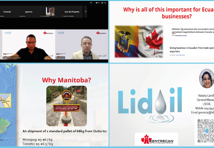 Webinar Internacional